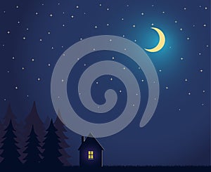 House and tree and night sky with stars and moon