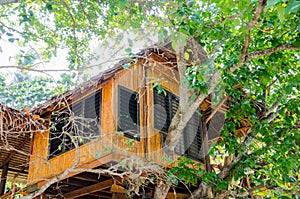 House on the tree in the phi phi island. It is hotel.