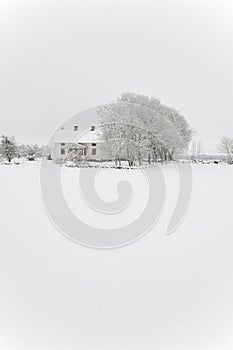 House and tree in snowstorm