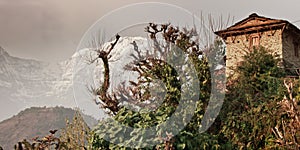 A house, a tree and a snowy mountain. Traditional Nepalese house