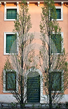 House and trees