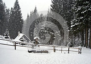 House with trees around in winter alps