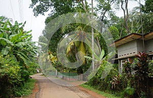 House in the tropics,Sri Lanka