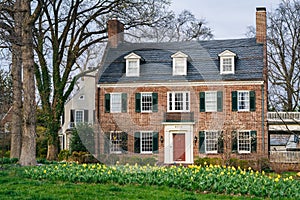 House and tulips in Guilford, Baltimore, Maryland photo