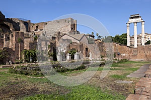 House of the Vestal Virgins at the Palatine Hill