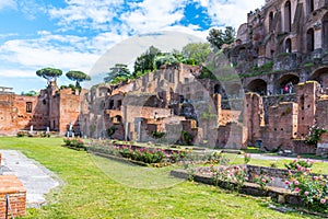 House of Vestal Virgins at Roman Forum, Rome, Italy