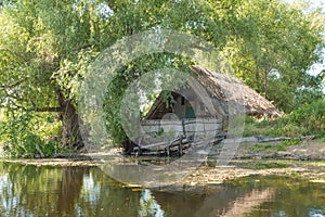 House in the village Letea, The Danube Delta