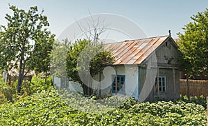 House in the village Letea, The Danube Delta