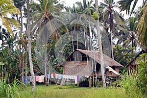 House in village Papua New Guinea