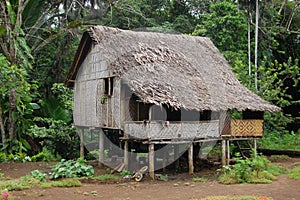 House in village Papua New Guinea