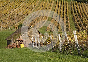 House and vineyard in the heart of the Jura, Arbois, France