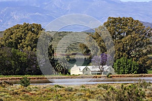 House in the Vineyards