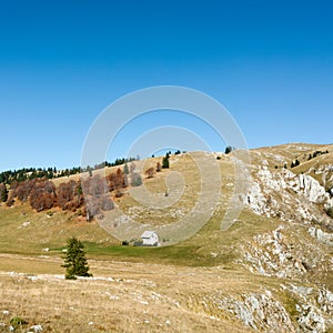 House on Vlasic mountain in autumn during a sunny day