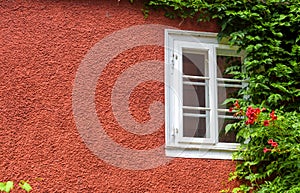 House wall overgrown with ivy, outdoor detail for background