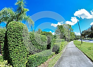 House, white cloud and blue sky