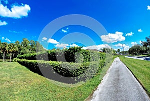 House, white cloud and blue sky