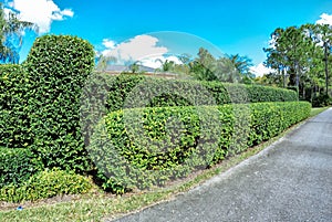 House, white cloud and blue sky