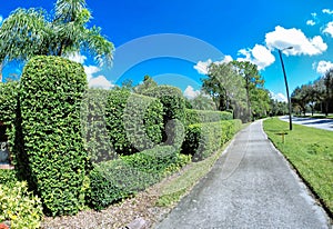 House, white cloud and blue sky