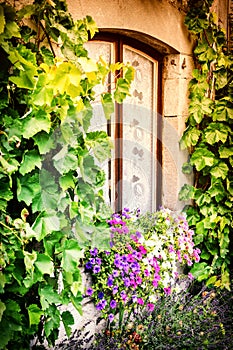 House window decorated with colorful petunias