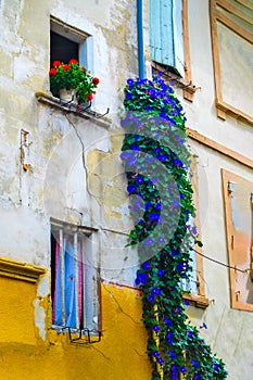 House Window. Vertical. Arles. France