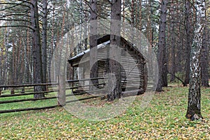 The house in the wood