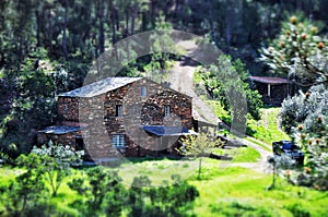 House in the woods