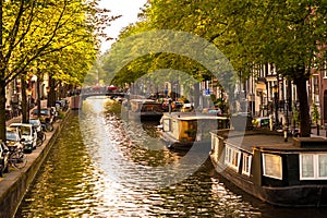 Houseboats on Amsterdam Canal