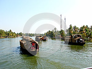 Houseboats in Backwater Canals, Kerala, India