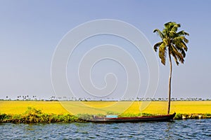 Houseboats on the backwaters of Kerala in Alappuzha Alleppey in India. A traditional tourist attraction is the house-boat on the