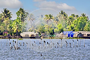 Houseboats on the backwaters of Kerala in Alappuzha Alleppey in India. A traditional tourist attraction is the house-boat on the