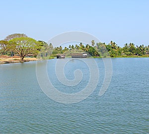 Houseboats in Backwaters in Kerala, India