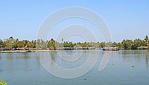 Houseboats in Backwaters in Kerala, India