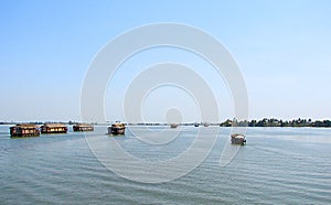 Houseboats in Backwaters in Kerala, India