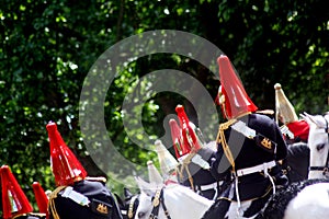 The Household Cavalry Band