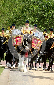The Household Cavalry Band
