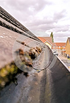 Household Guttering View