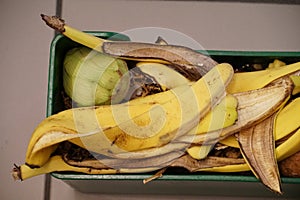 Household organic rests, from fruits or vegetables and old bread in a small container ready to be composted and put into community