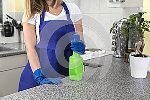 Housekeeper holding cleaning products in kitchen