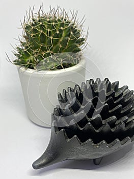 Houseplant cactus white background with metal hedgehog