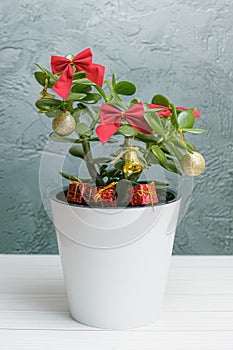 Houseplant decorated with Christmas tree decorations. Alternative to traditional Christmas tree