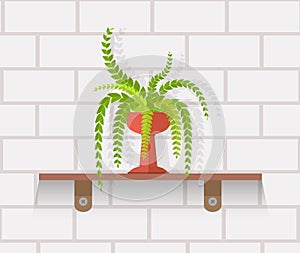 Houseplant Design Flat Concept