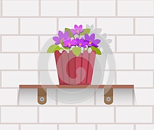 Houseplant Design Flat Concept