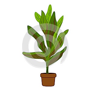 Houseplant icon cartoon vector. Gardenia care office