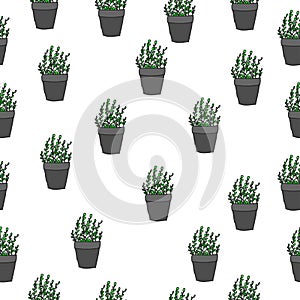 Houseplant illustration on white background. flower pot, green plant icon. seamless pattern. hand drawn vector. doodle art for wal