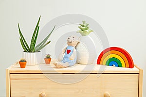 Houseplant and kids toys on wooden shelf. Plant home decoration. Life style