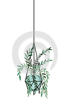 Houseplant on macrame hangers icon