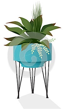 Houseplant mix in a teal retro modern planter