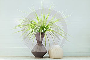 Houseplant with a stylish vase on  shelf in the room