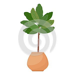 Houseplant tree icon cartoon vector. Urban jungle