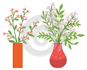 Houseplant in Vases, Flowers with Flourishing